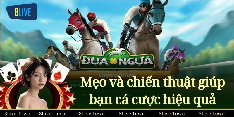 Mẹo và chiến thuật giúp bạn cá cược hiệu quả