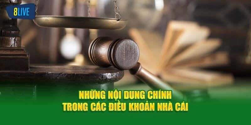 Nội dung chính trong điều khoản và điều kiện của nhà cái