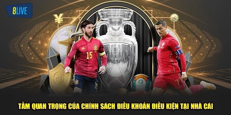 Tầm quan trọng của chính sách điều khoản và điều kiện
