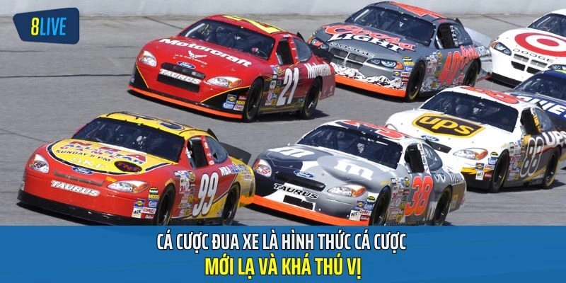 Cá Cược Đua Xe là hình thức cá cược mới lạ và khá thú vị