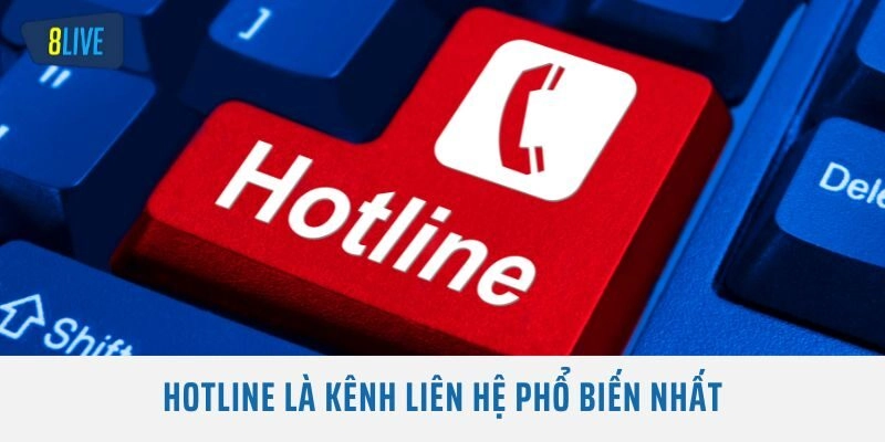 Hotline là kênh liên hệ phổ biến nhất