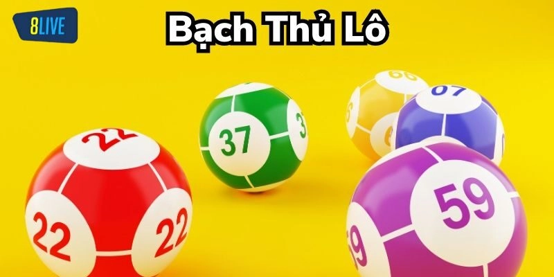 Bạch Thủ Lô Là Gì? Khám Phá Cách Bắt Lô Hiệu Quả Cùng 8live