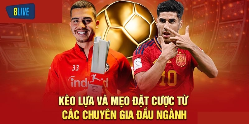 Mẹo bắt kèo lựa chuẩn