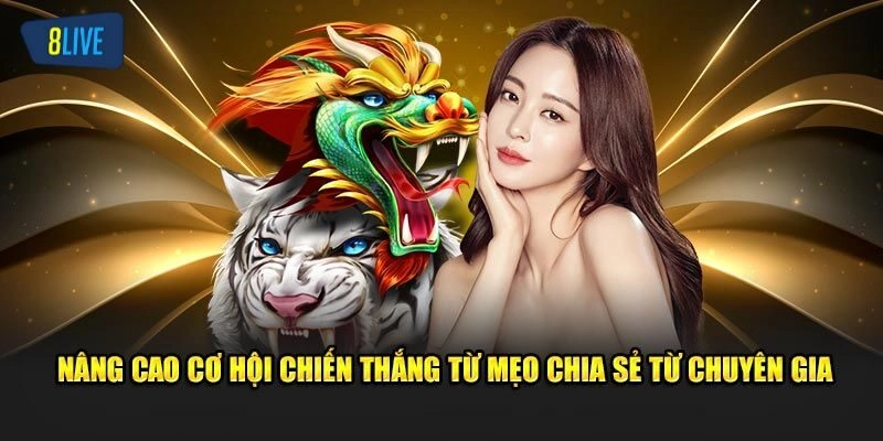 Kinh nghiệm chơi rồng hổ