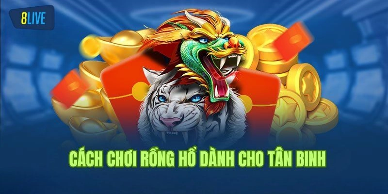 Chia sẻ kinh nghiệm cách chơi rồng hổ đảm bảo thắng