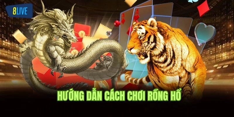 Cách Chơi Rồng Hổ Mới Nhất Cho Người Chơi Tại 8live