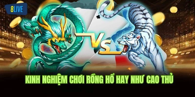 Hướng dẫn về cách chơi Rồng hổ “chuẩn bài” nhất