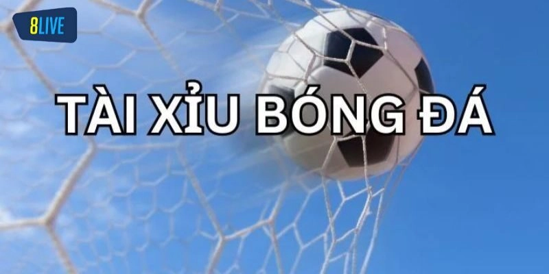 Cao thủ chia sẻ kinh nghiệm chơi kèo tài xỉu bóng đá