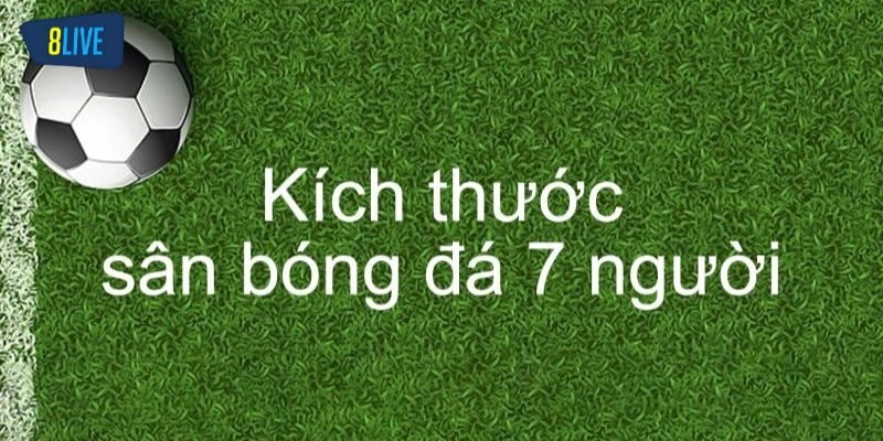 Kích thước sân bóng đá 7 nguoi theo tiêu chuẩn FIFA
