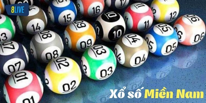Các lưu ý quan trọng hội viên không nên bỏ qua